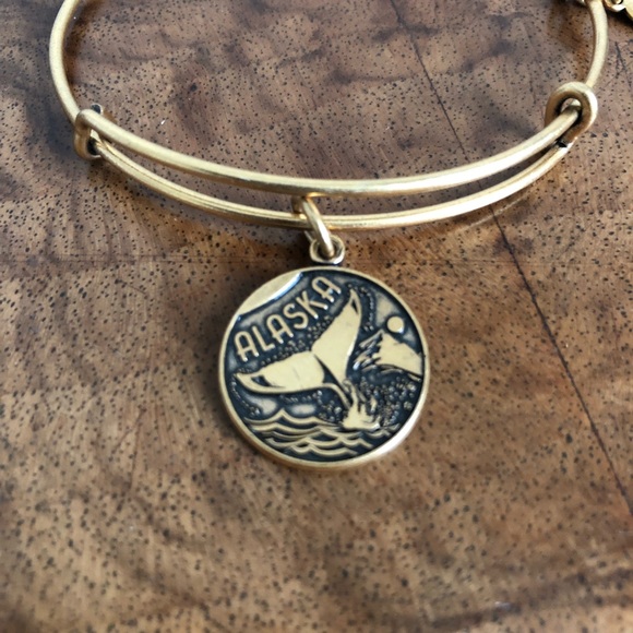Alex and Ani Alaska bracelet - Picture 2 of 2